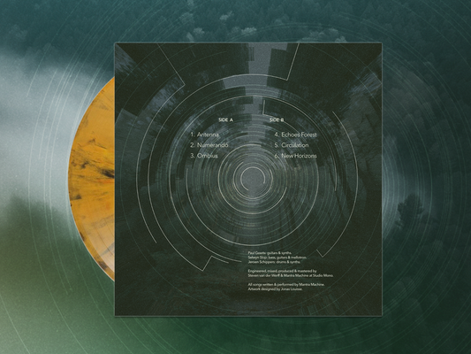 Gatefold record/vinyl 180 grams - Special 1st edition - color Savanah.